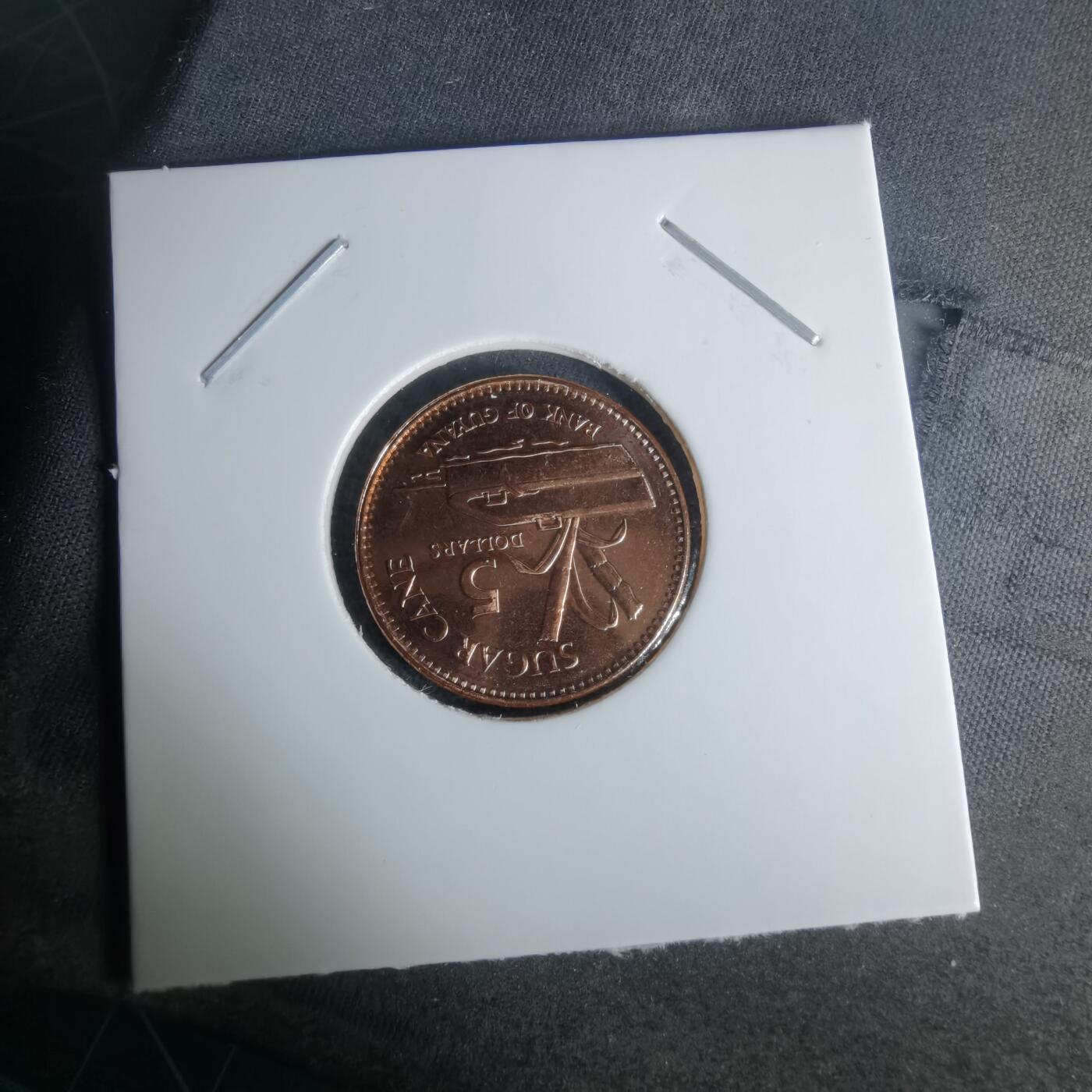 沼泽如烟--第1024场 圭亚那2019年五元