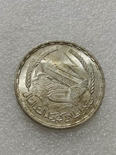 天下钱庄专场欢迎参拍 - 埃及1磅银币