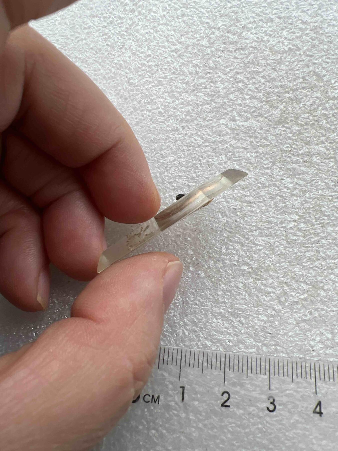 真品像章、纪念章