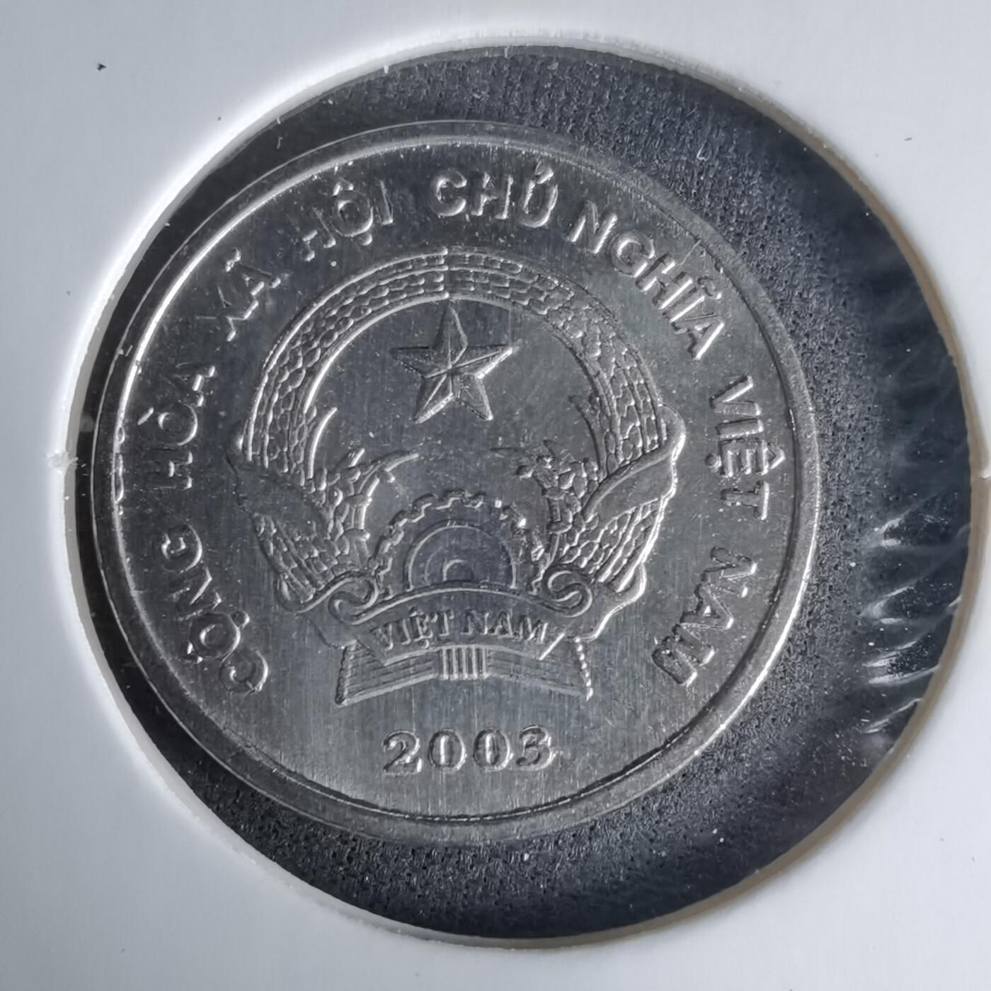 沼泽如烟--第1025场