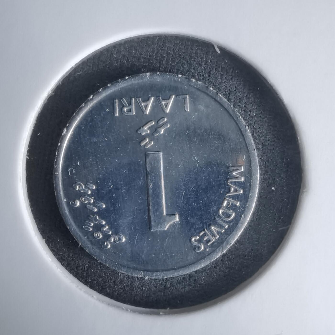 沼泽如烟--第1024场 马尔代夫2012年1拉雷