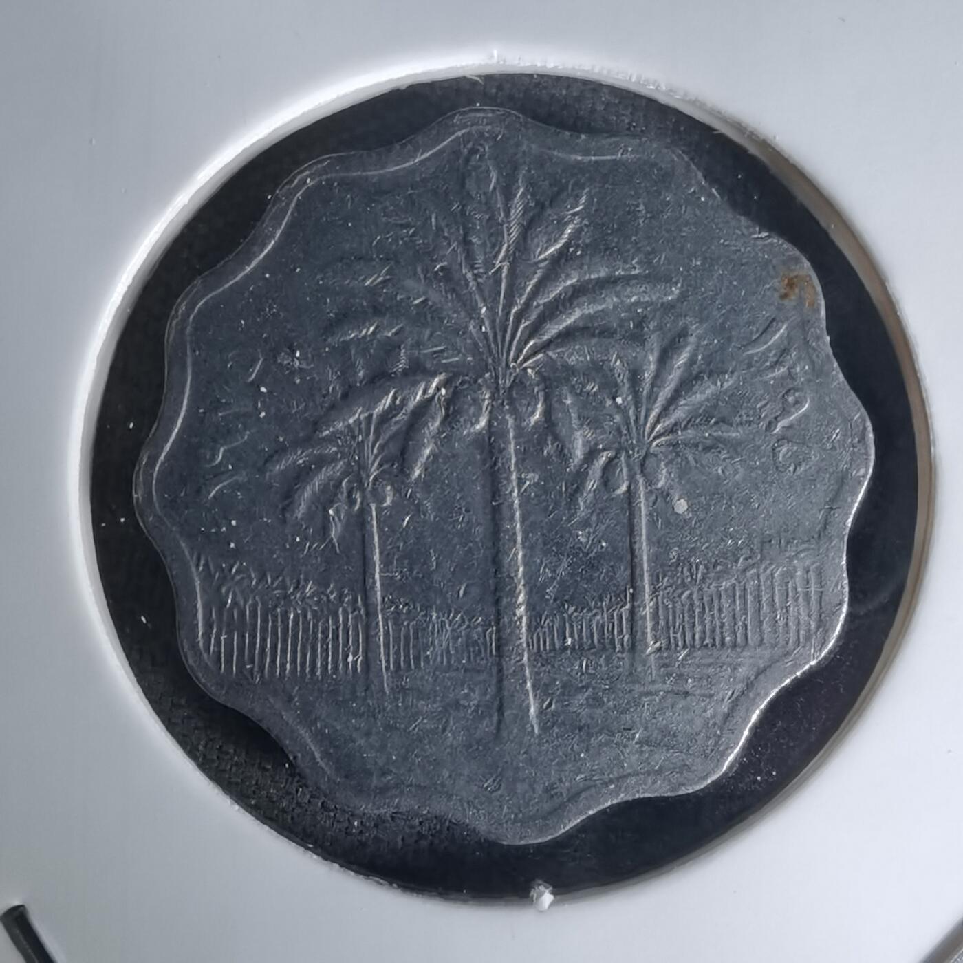 沼泽如烟--第1023场 伊拉克