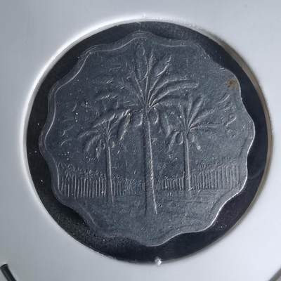 沼泽如烟--第1023场 - 伊拉克