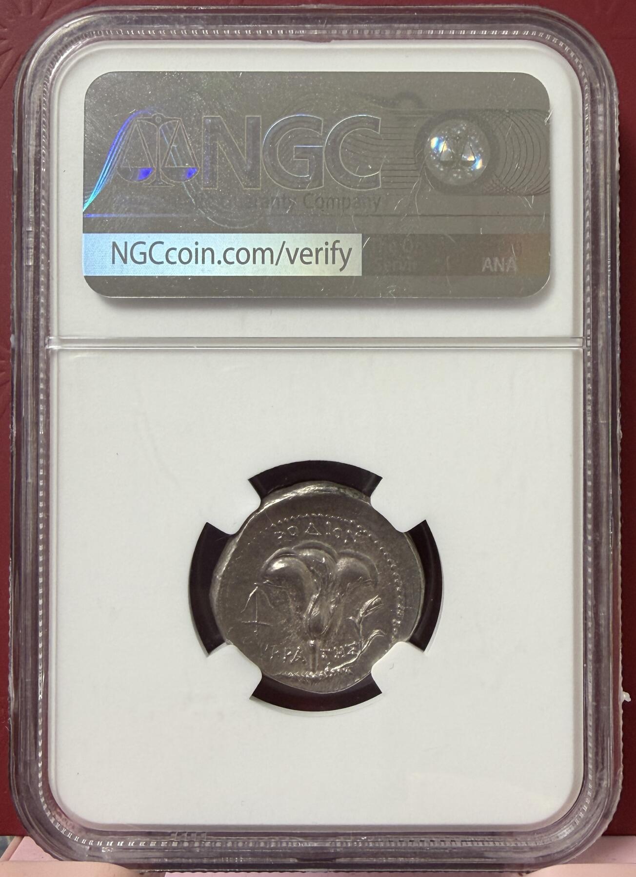 2026年3月捡漏拍