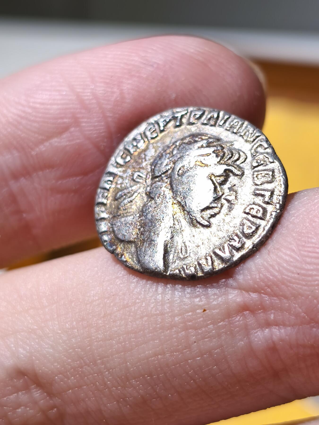 星盘世界钱币拍卖