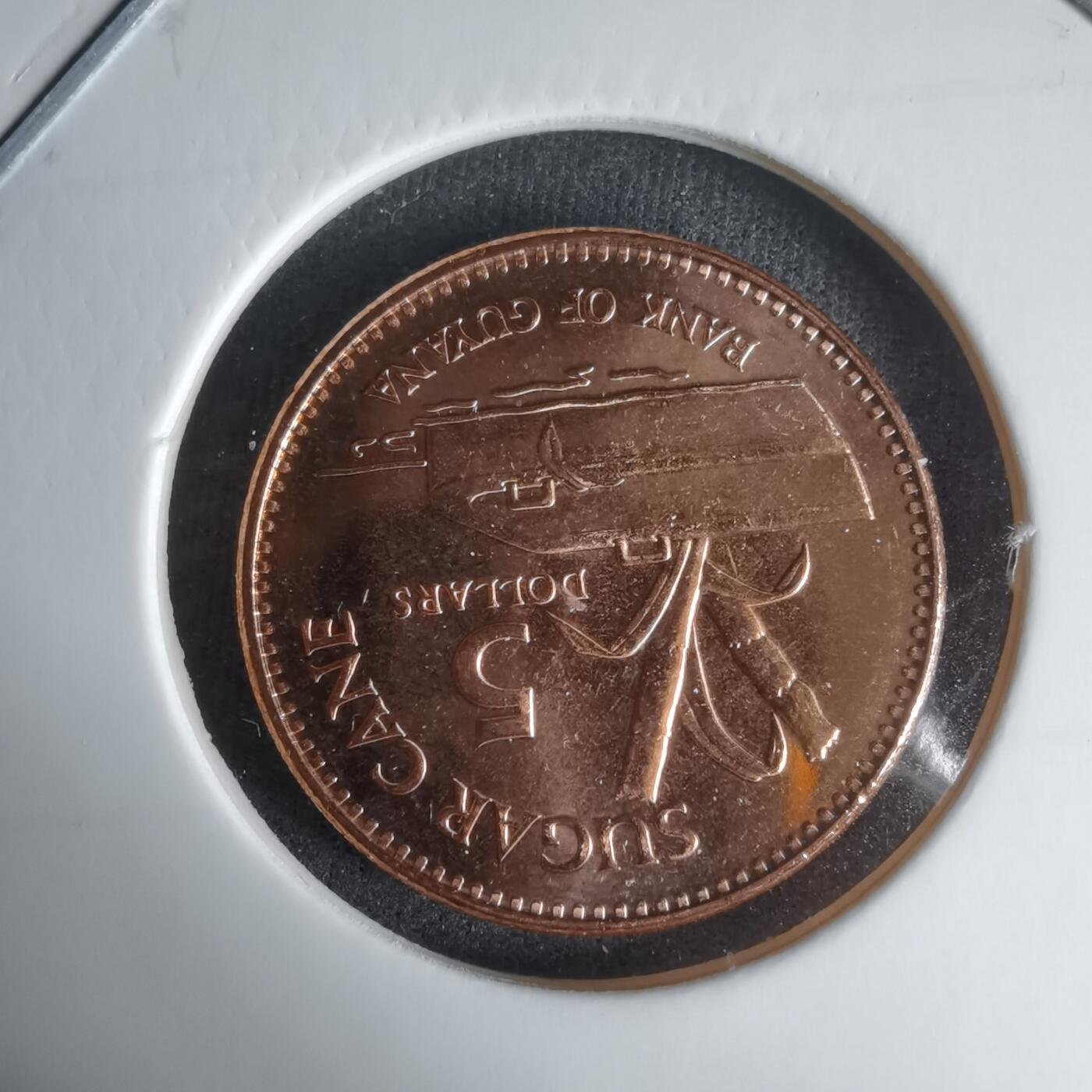 沼泽如烟--第1024场 圭亚那2019年5元