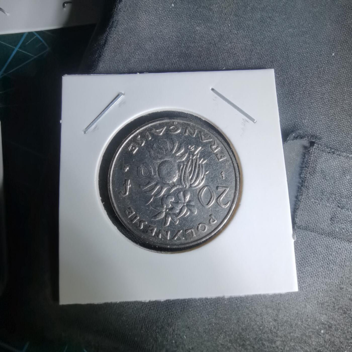 沼泽如烟--第1024场