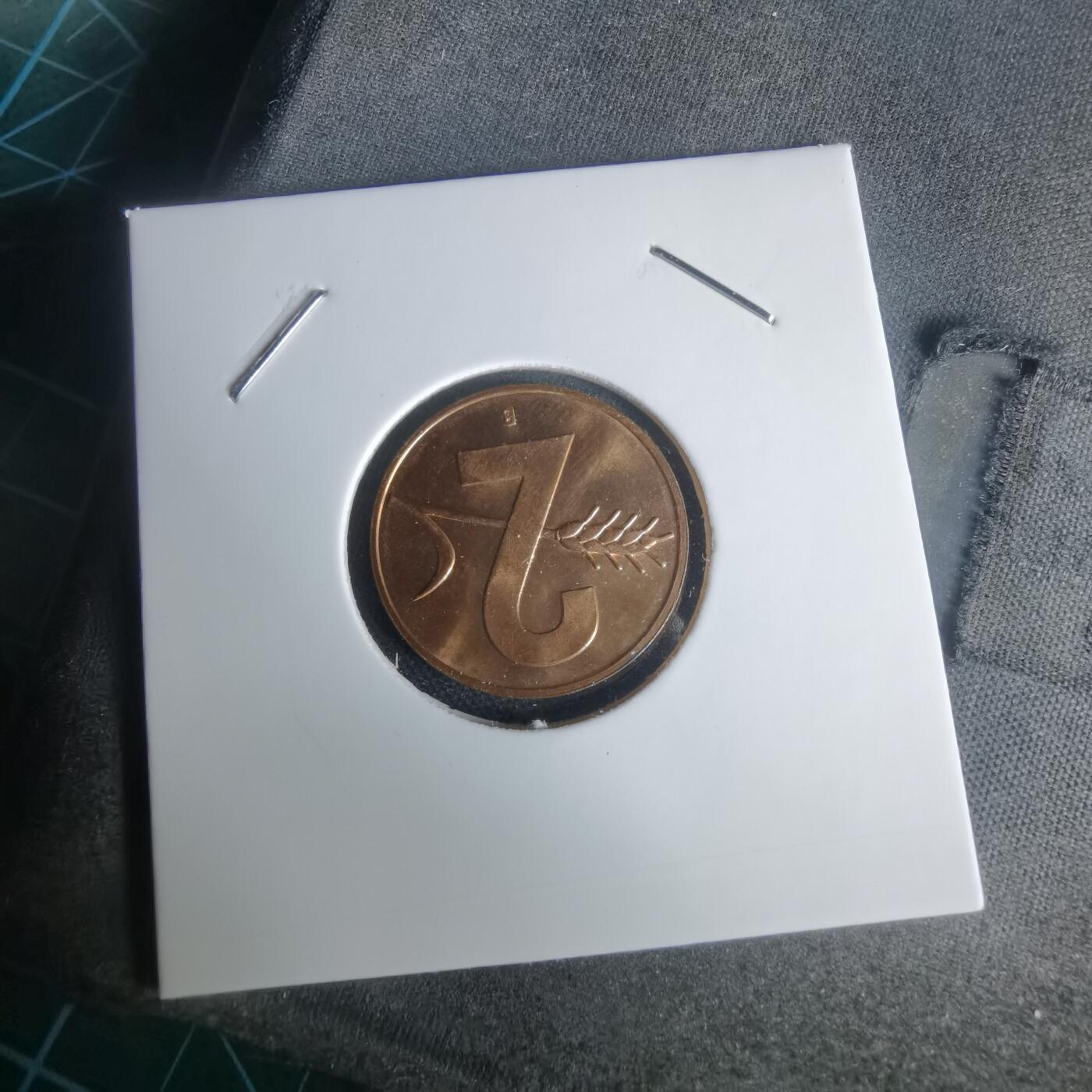 沼泽如烟--第1024场