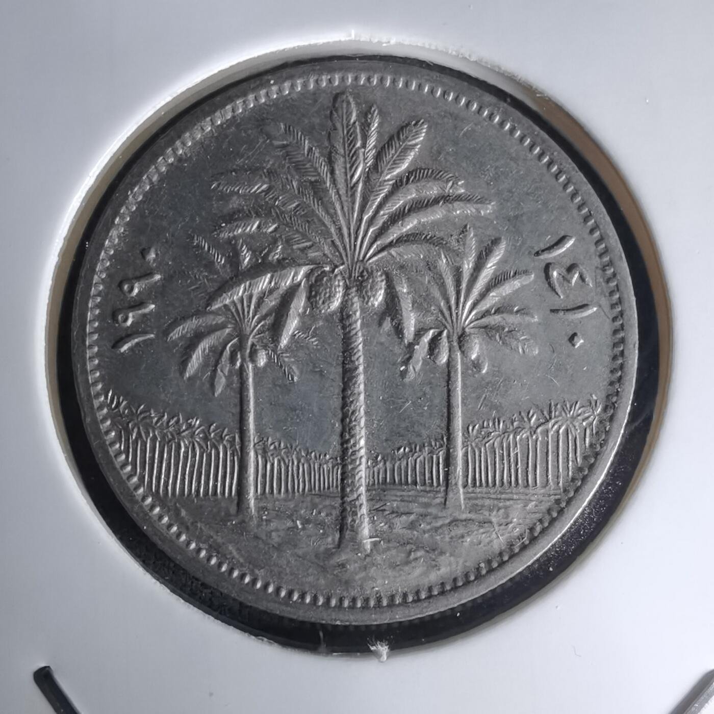 沼泽如烟--第1023场 伊拉克