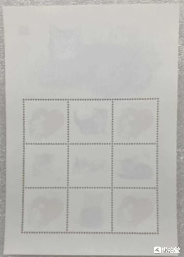 “宠物-猫”小版1对2版。