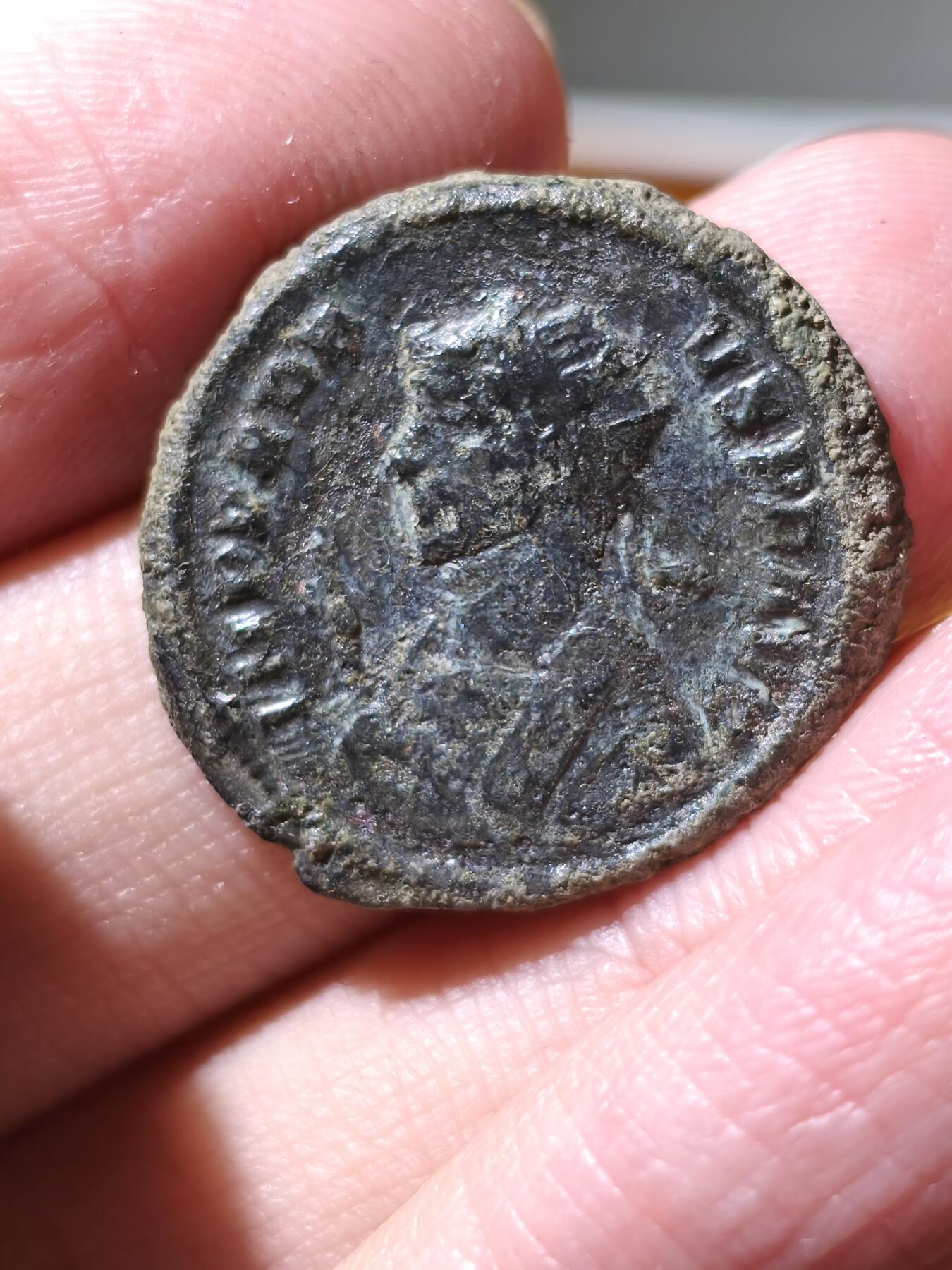 星盘世界钱币拍卖