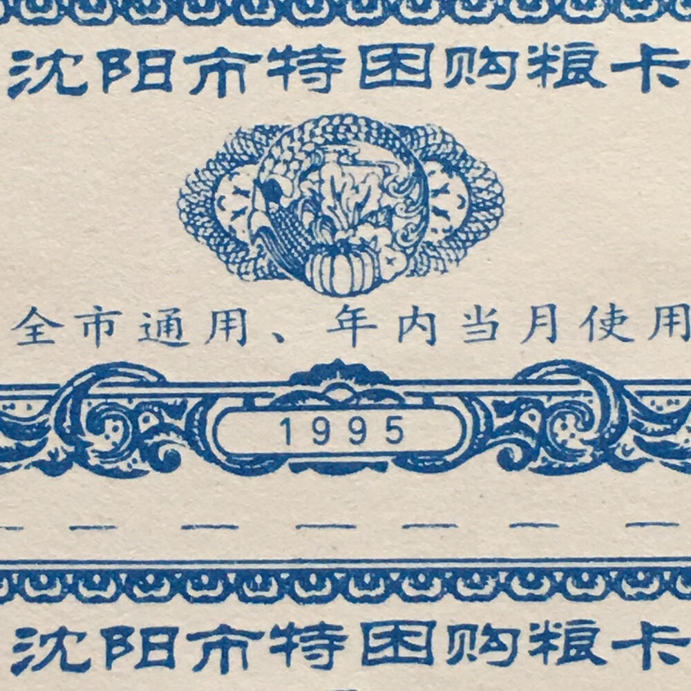         1995/1996年辽宁沈阳市购粮卡全新品相未流通2枚连体小版原版真品如图供应票证旧藏文玩艺术收藏