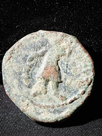 120期新疆红钱粟特钱币丝路钱币专场 - F丝路铜币版式