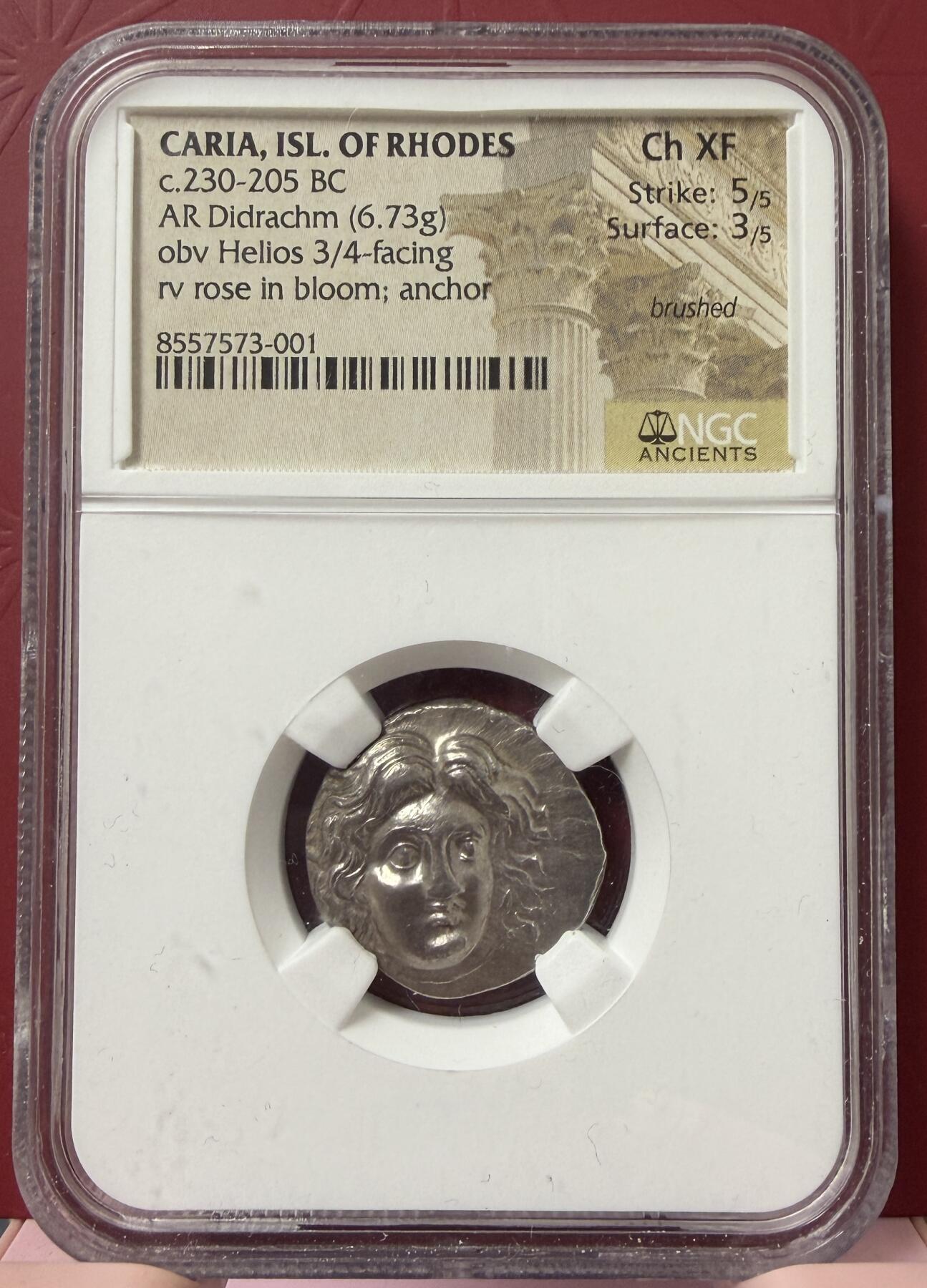 2026年3月捡漏拍