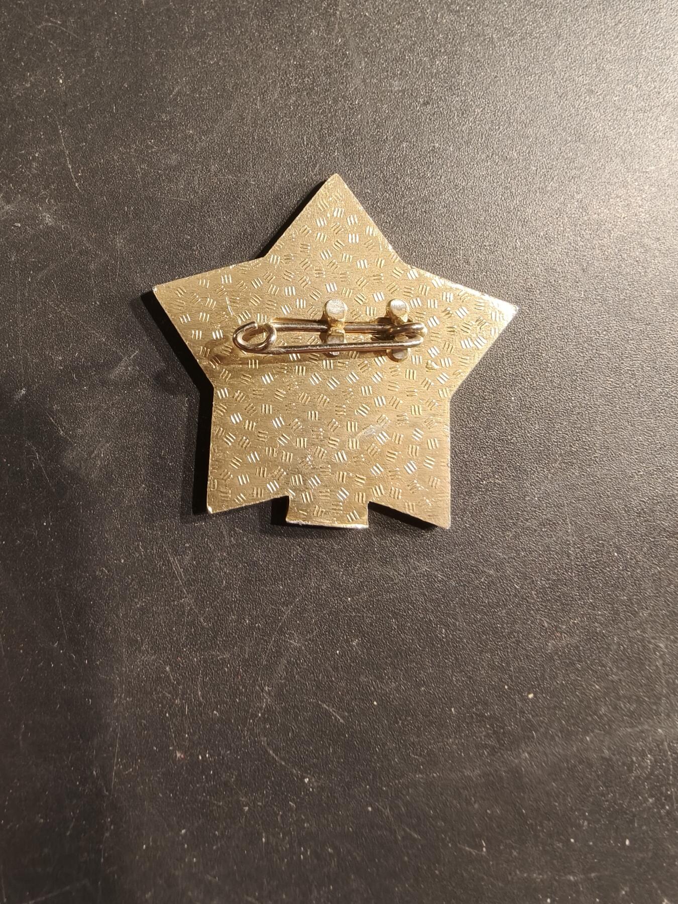 老王徽章第187期 苏联矿工与能源工作者日证章