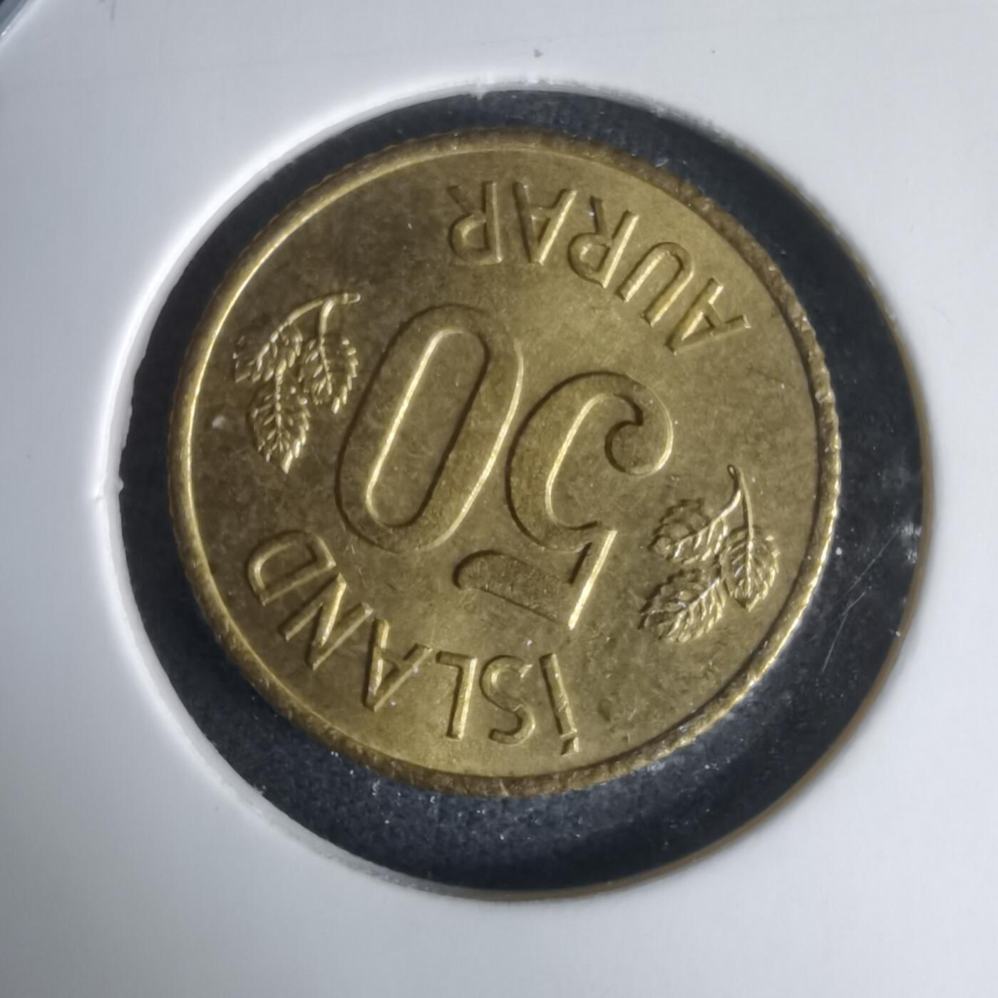 沼泽如烟--第1024场