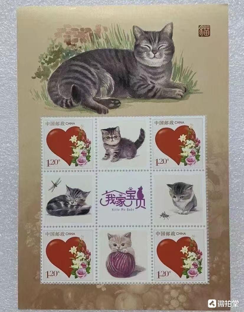 “宠物-猫”小版1对2版。