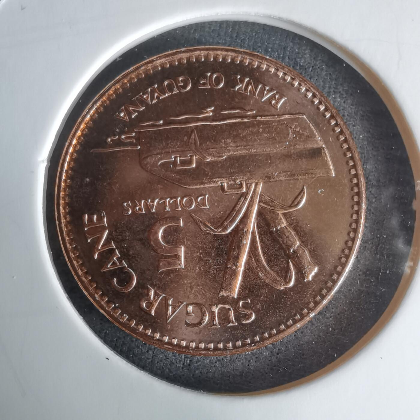 沼泽如烟--第1025场