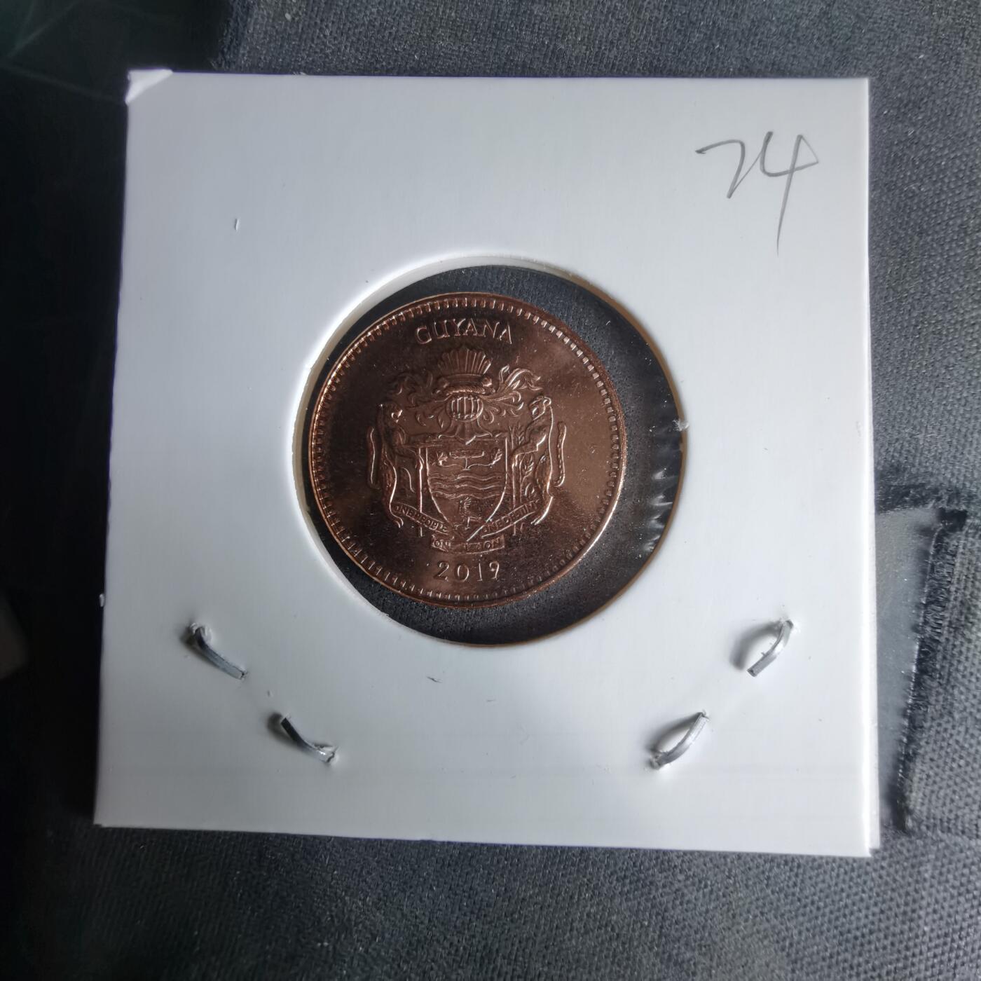 沼泽如烟--第1025场