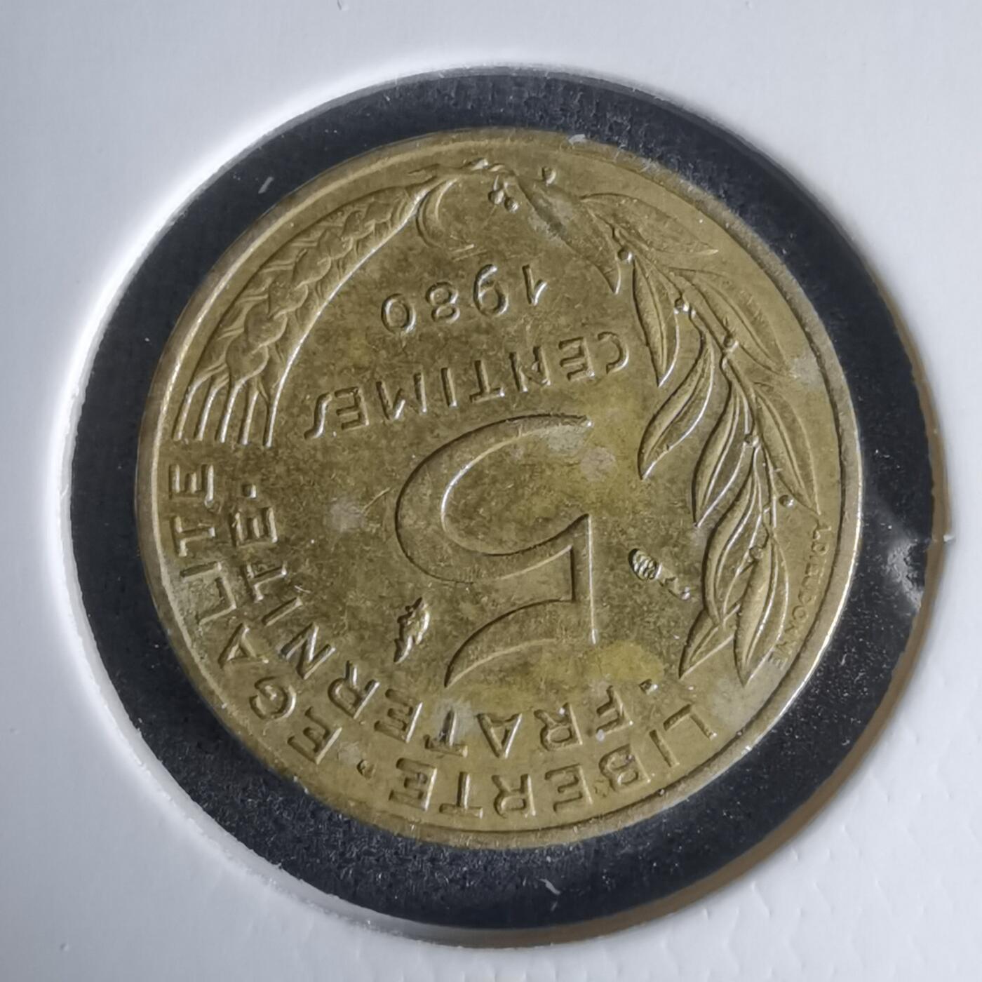 沼泽如烟--第1024场