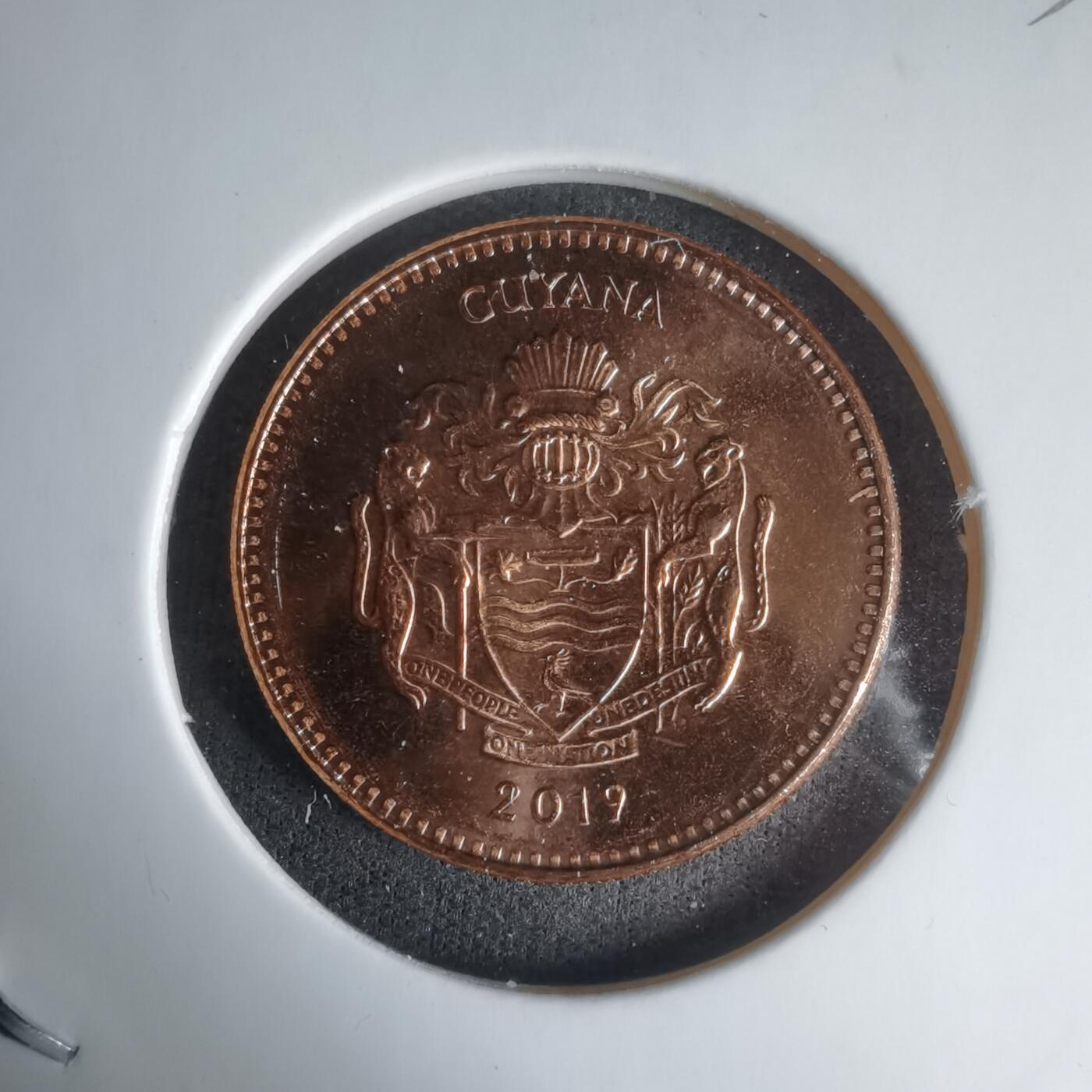 沼泽如烟--第1024场 圭亚那2019年5元