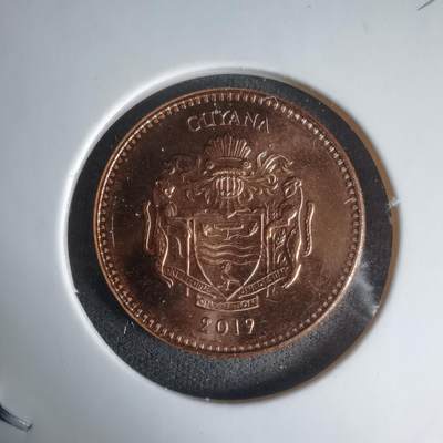 沼泽如烟--第1024场 - 圭亚那2019年5元