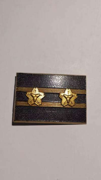 东亚勋章徽章主题拍卖 ⑨ - 消防章 肩章？