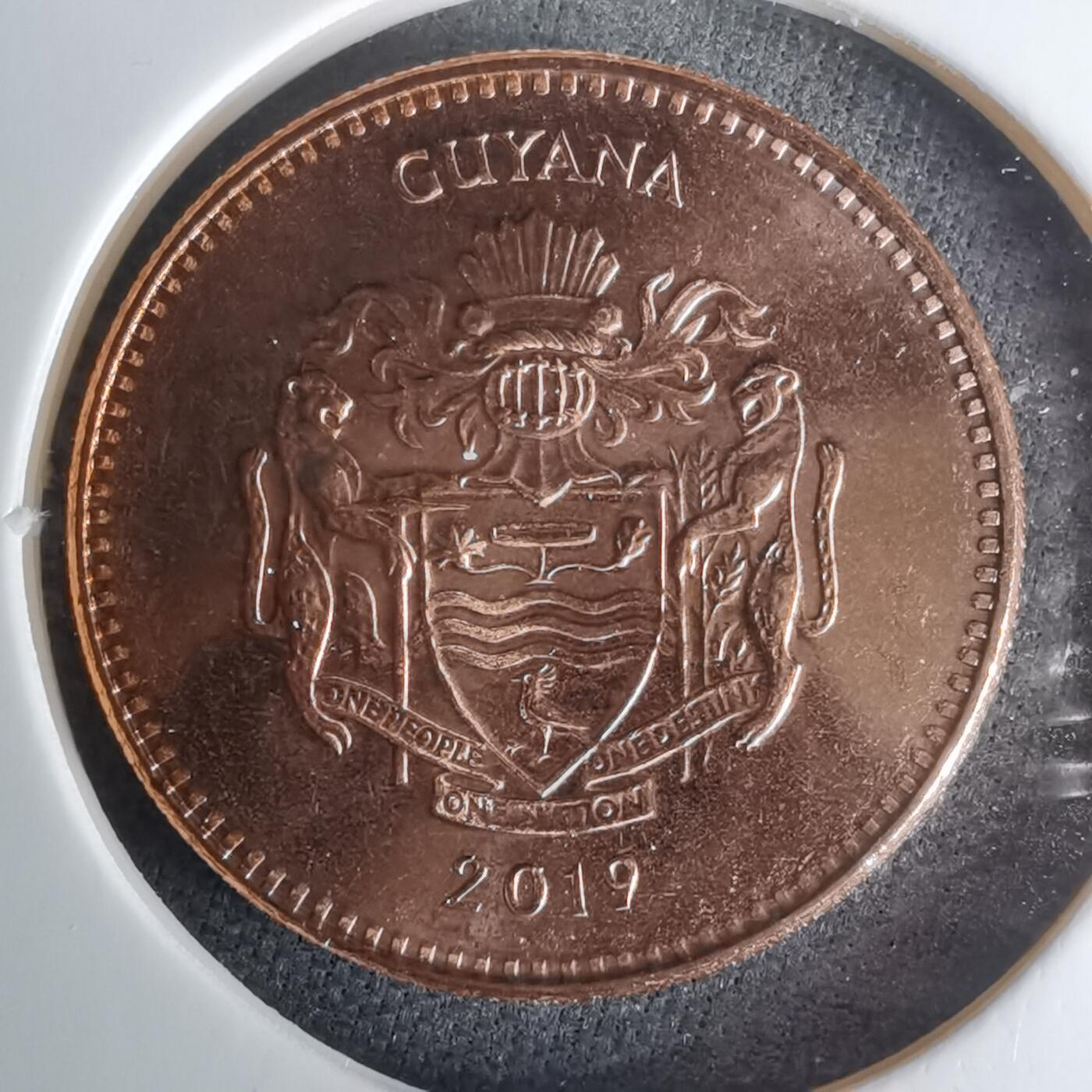 沼泽如烟--第1025场