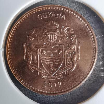 沼泽如烟--第1025场 - 圭亚那2019年5元