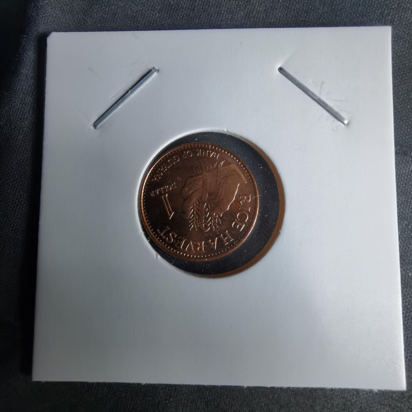 沼泽如烟--第1025场