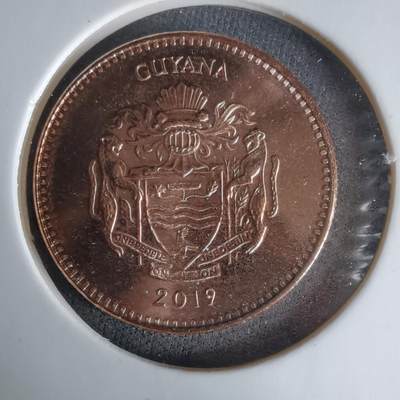 沼泽如烟--第1025场 - 圭亚那2019年五元