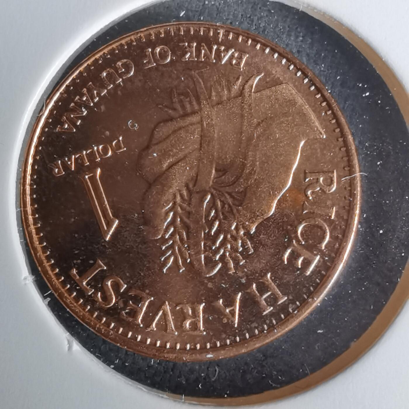 沼泽如烟--第1025场