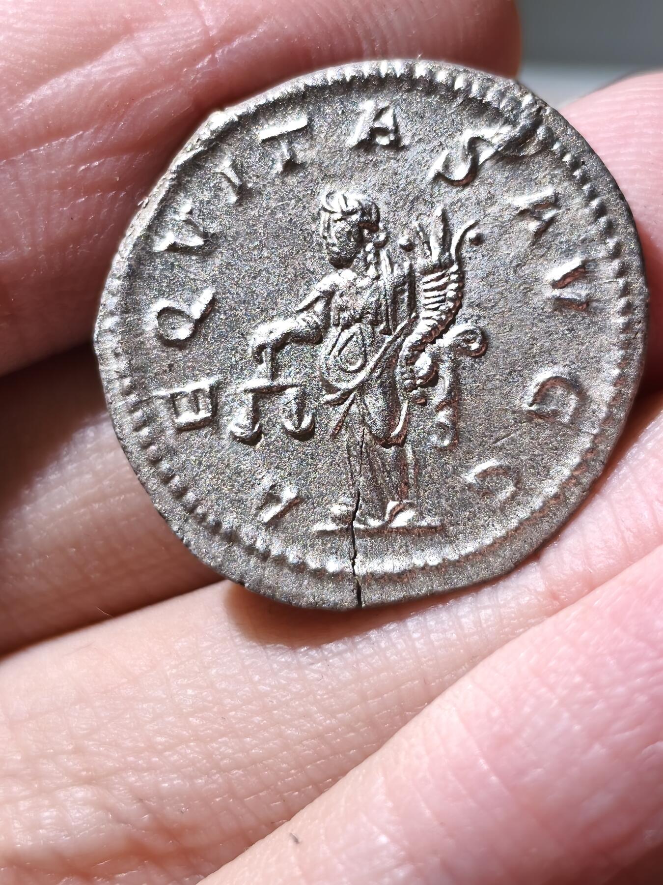 星盘世界钱币拍卖