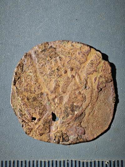 120期新疆红钱粟特钱币丝路钱币专场 - B丝路铜币版式