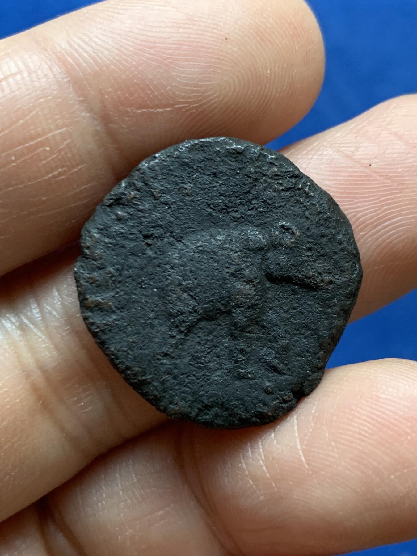 《竞宝斋》第470场 周日，周一，周二 3场连拍 （全场包邮）欢迎送拍 印度赛克王朝 阿泽斯二世5德拉马克打制铜币 公元前35-12世纪 正瘤牛背大象 该版铸造量极少 保存不易 图案铭文依稀可见 相较背站狮版极为罕见 大象版极少 喜欢丝路币的朋友可以凑版收藏