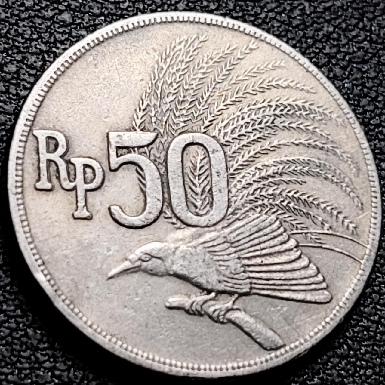 泉币菌-第210场-拍品多 请提前出价 。