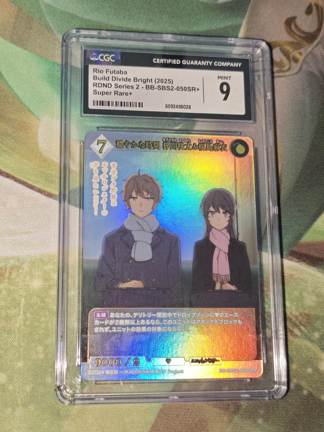 年后第二场，持续收拍中，有兴趣的老板可以私信，拜托拜托