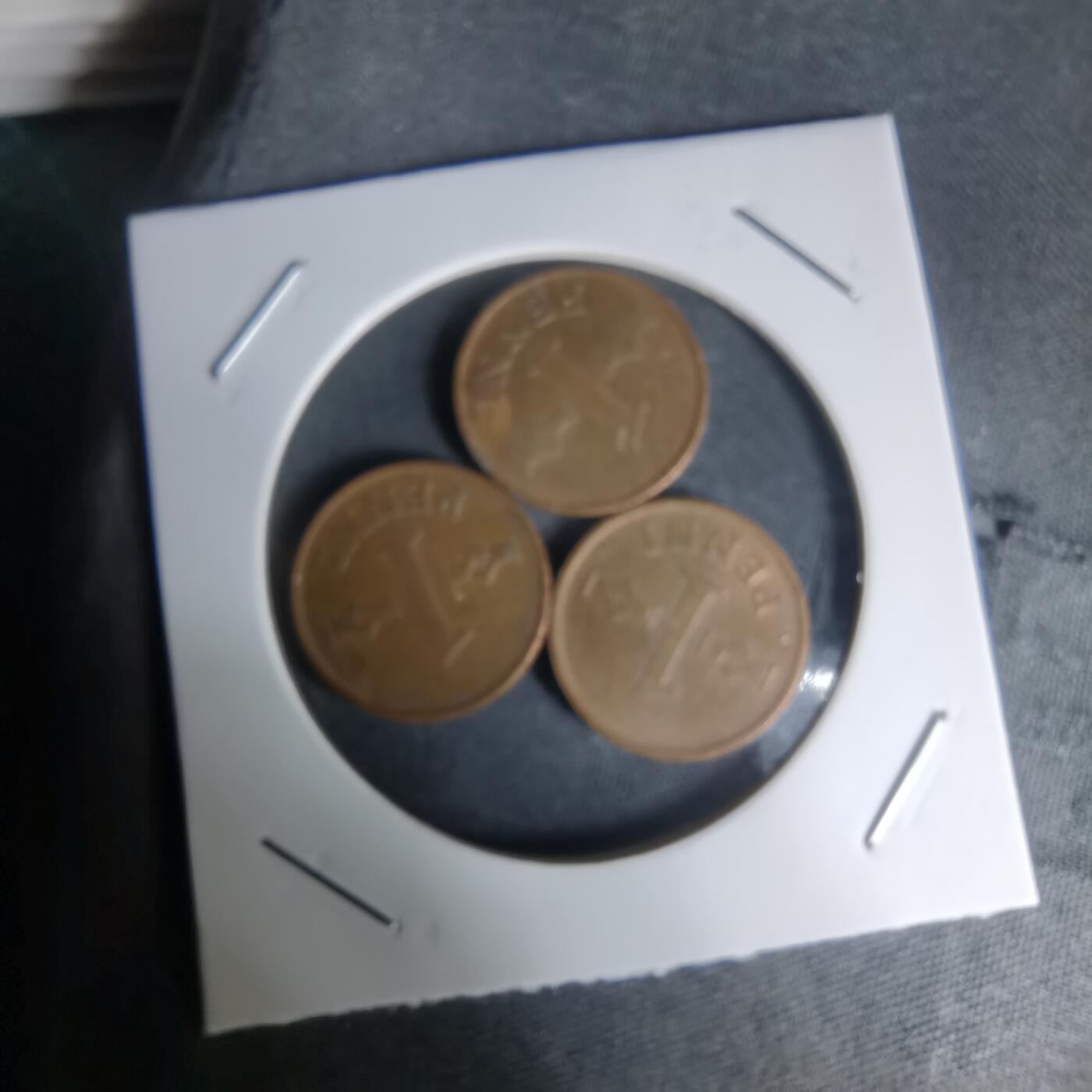 沼泽如烟--第1024场