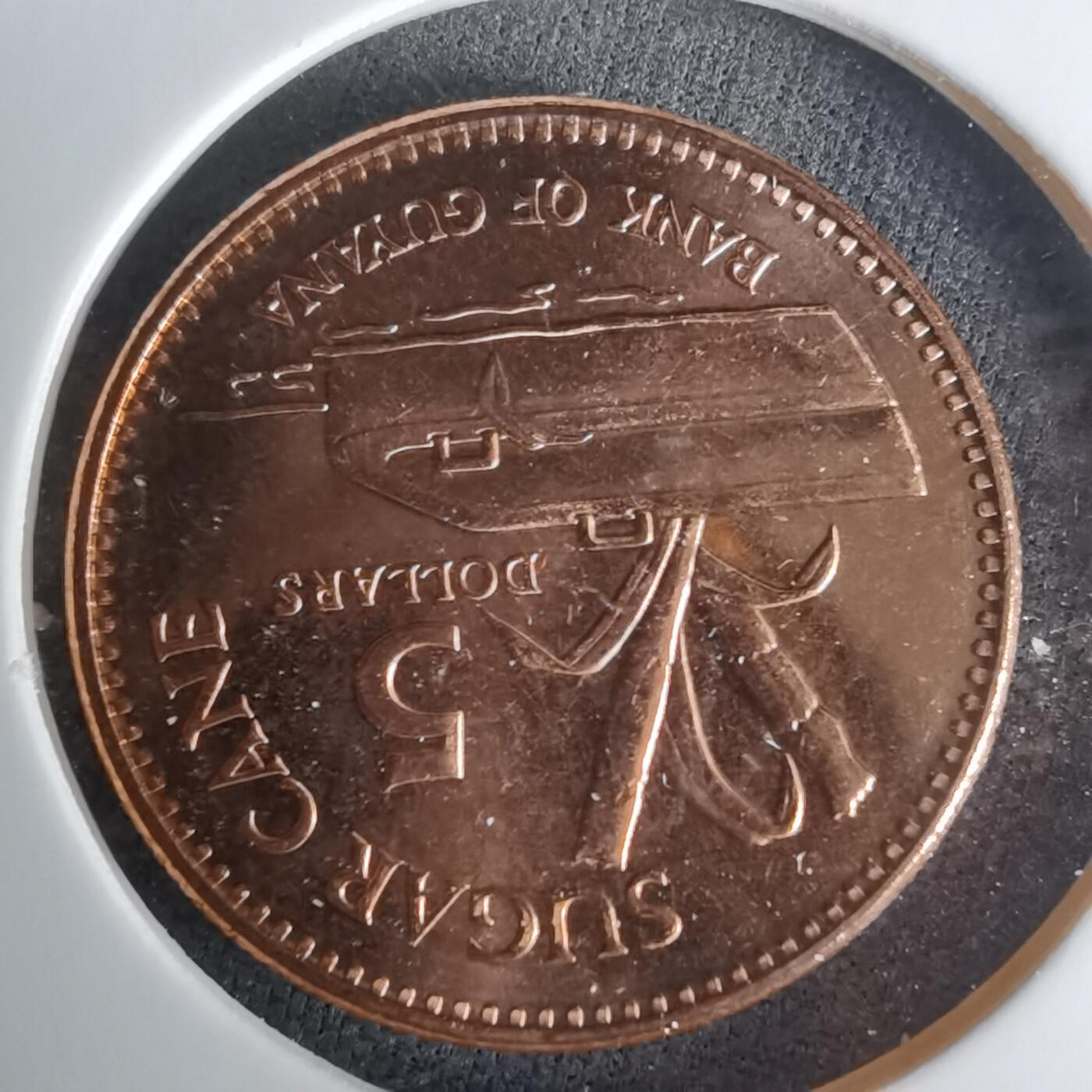 沼泽如烟--第1025场