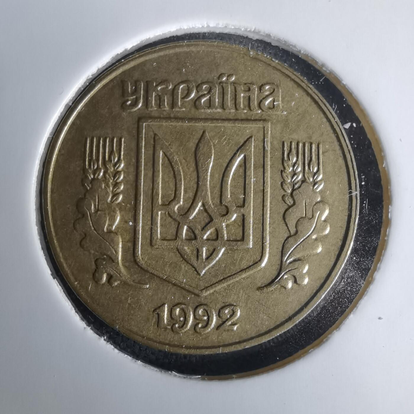 沼泽如烟--第1025场