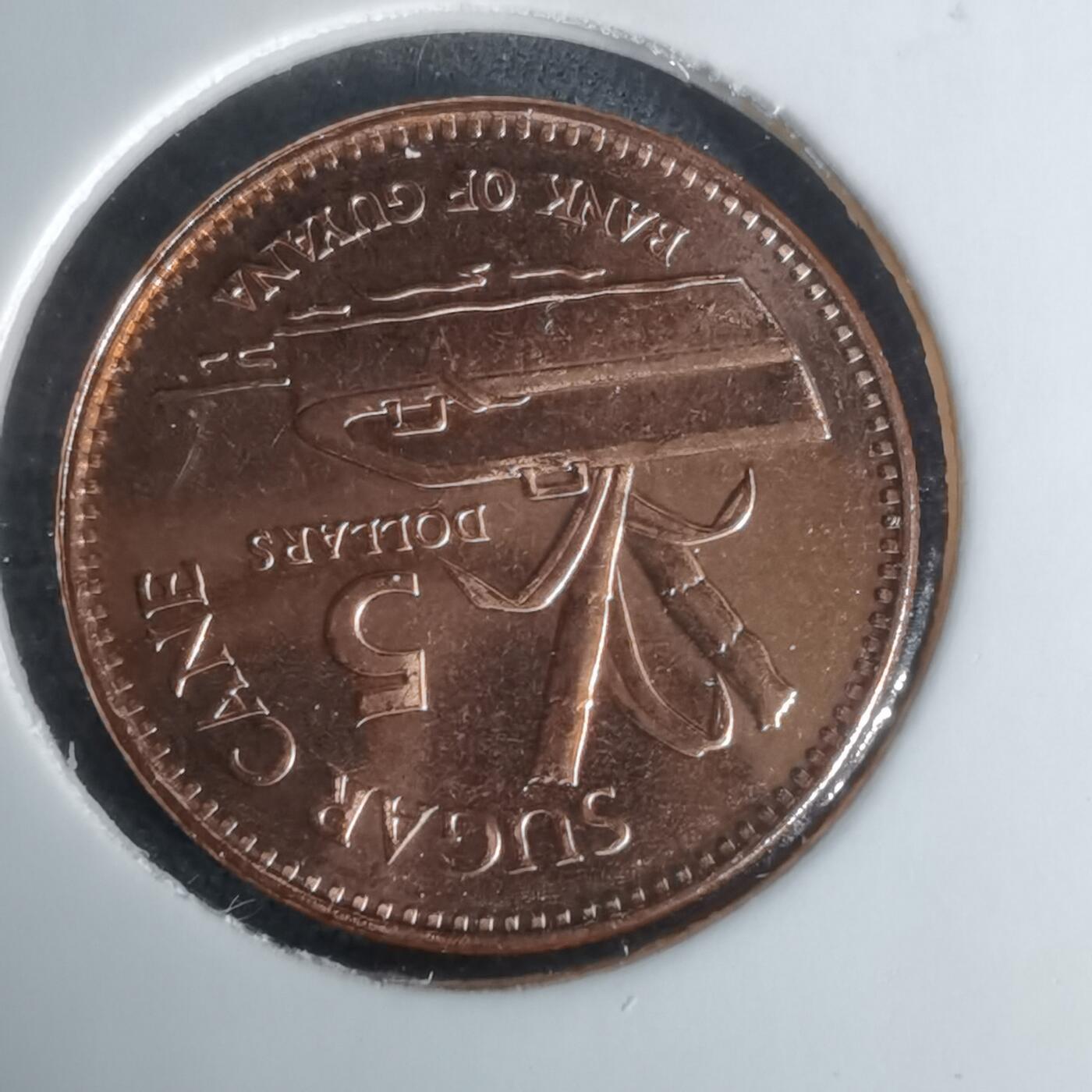 沼泽如烟--第1024场 圭亚那2019年五元