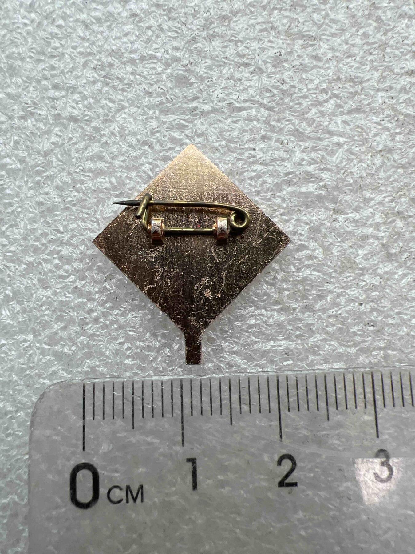 真品像章、纪念章