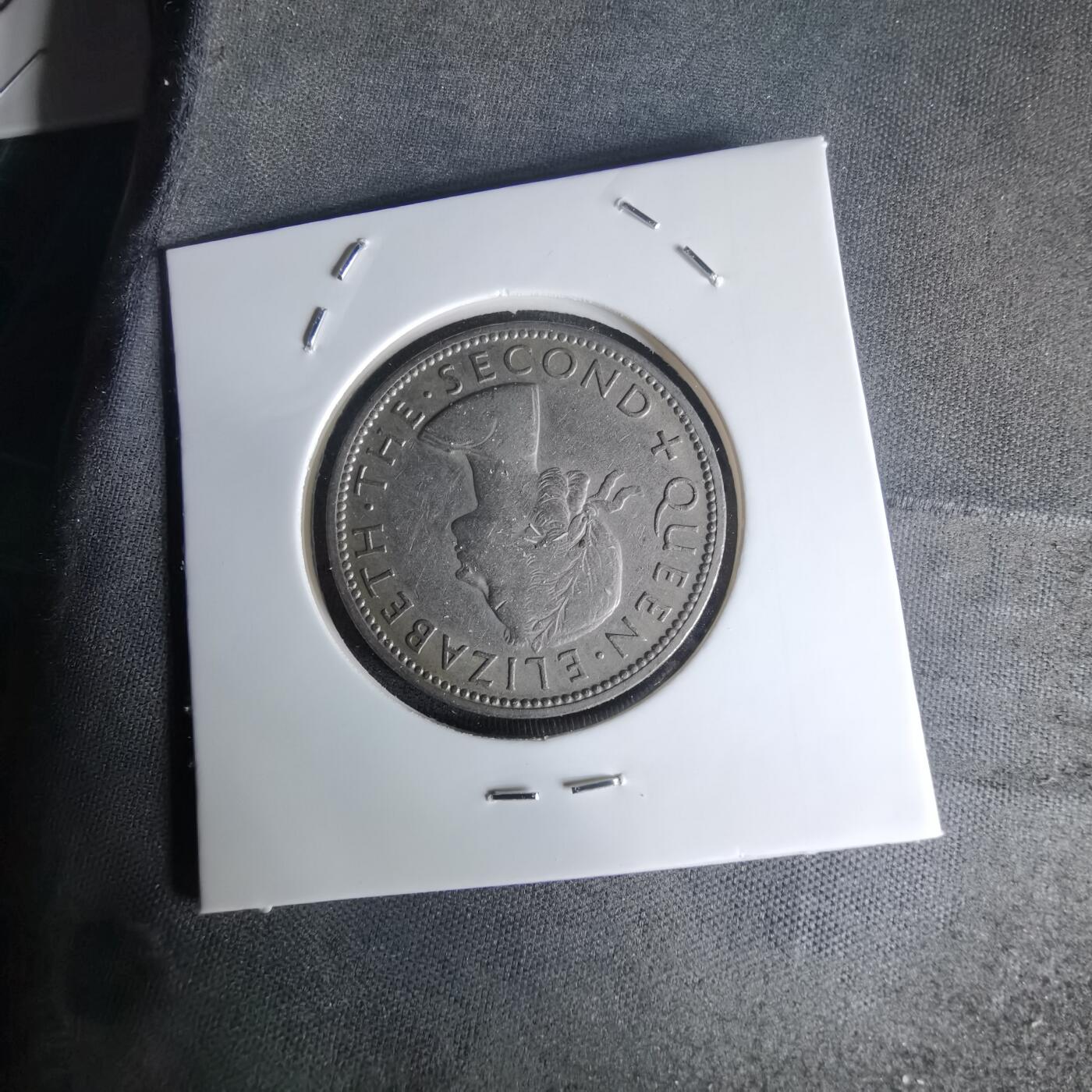 沼泽如烟--第1023场