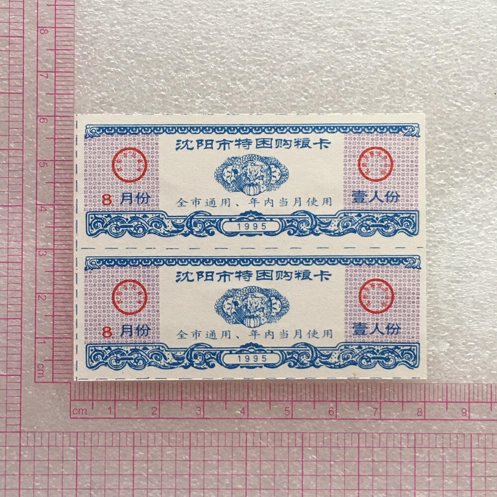         1995/1996年辽宁沈阳市购粮卡全新品相未流通2枚连体小版原版真品如图供应票证旧藏文玩艺术收藏