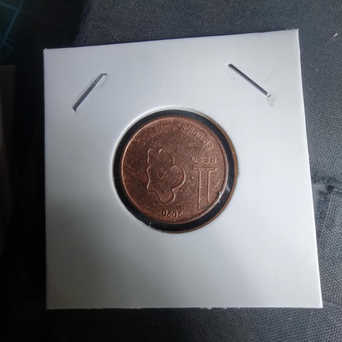 沼泽如烟--第1024场 阿根廷2020年1比索