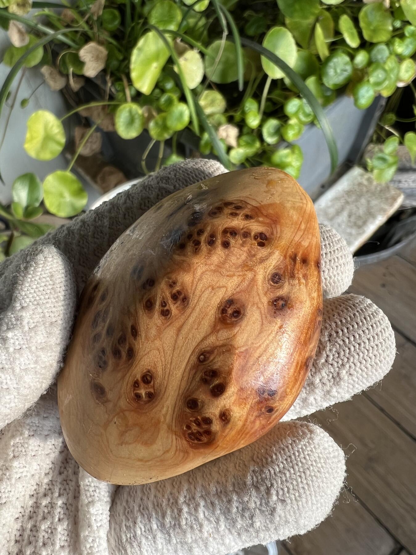 零元拍：崖柏瘤花随型手把件，十多年前的存货了，陈化的非常好，香味扑鼻，油性极大。