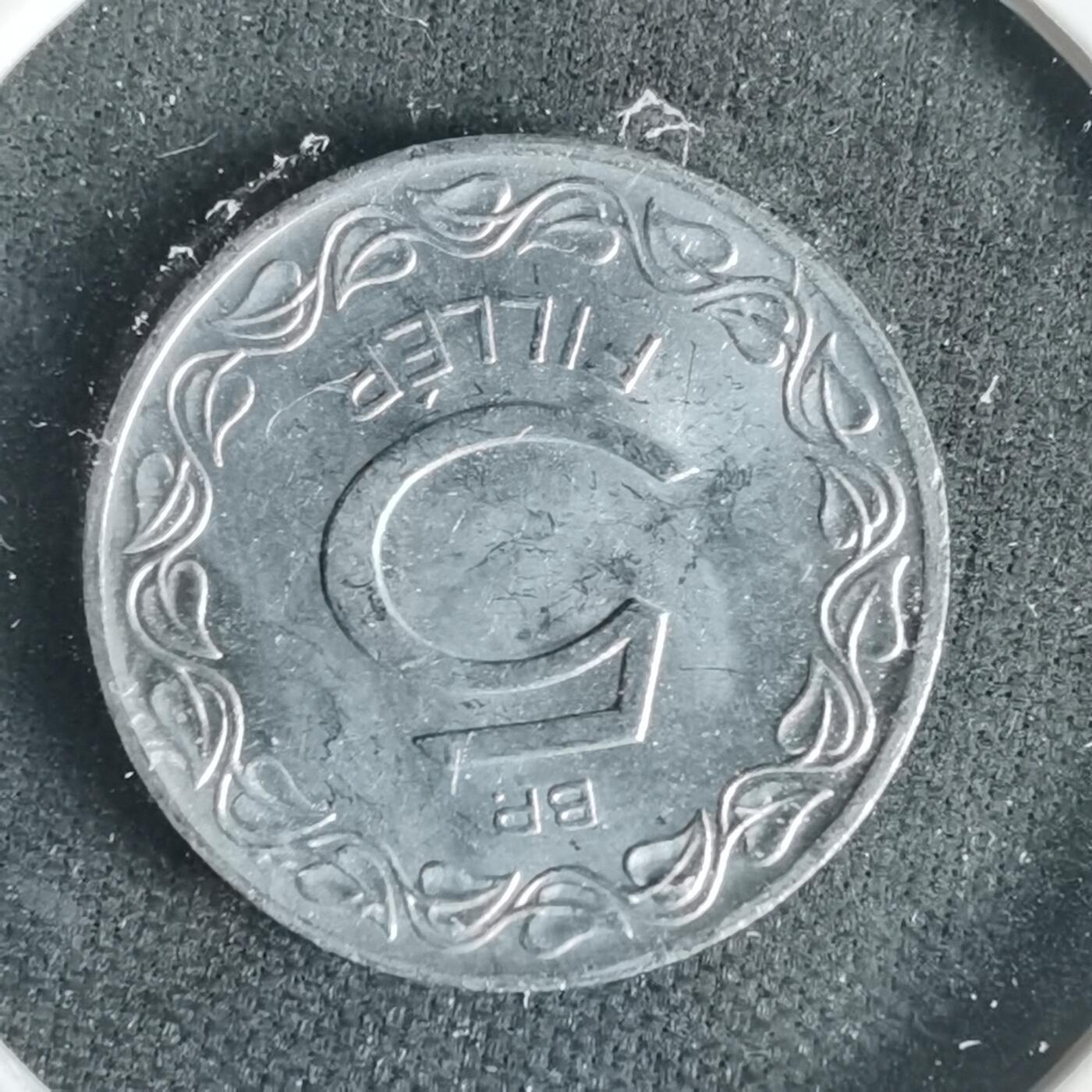 沼泽如烟--第1021场