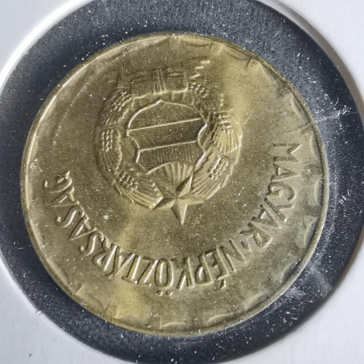 沼泽如烟--第1021场