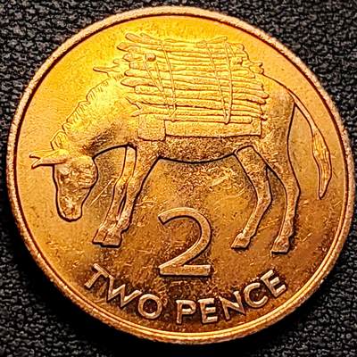 泉币菌-第212场-拍品多 请提前出价（工作最近较忙 发货不及时，望理解） - 原光UNC 毛驴 英属圣赫勒拿和阿森松1984年 2便士青铜币 25.91MM 全新UNC