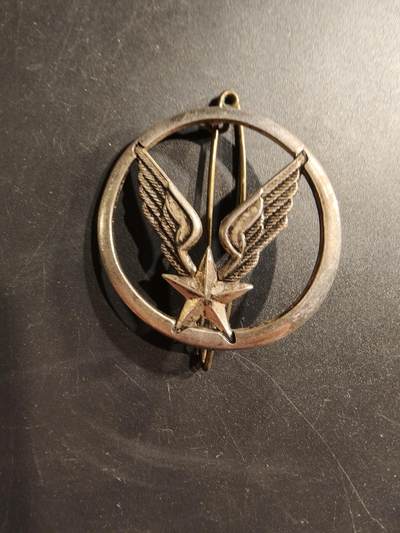 老王徽章第187期 - 法国陆军航空兵贝雷帽徽